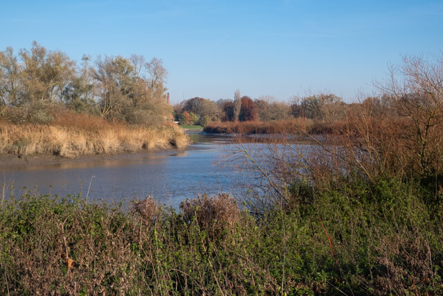 The salt marshes of the Durme