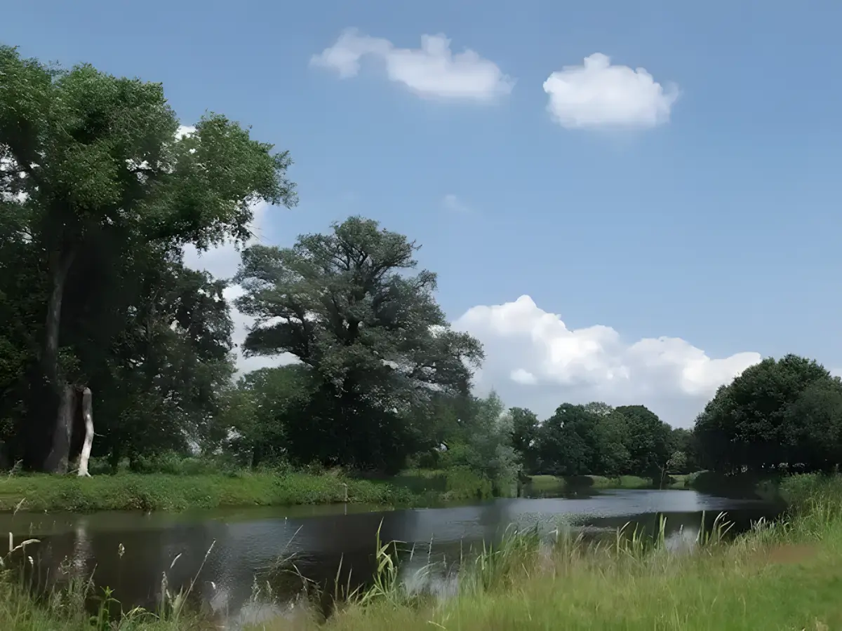 de dommel