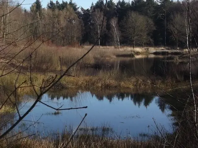 het esven
