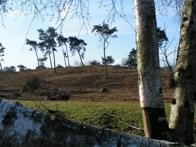 stuifduinen