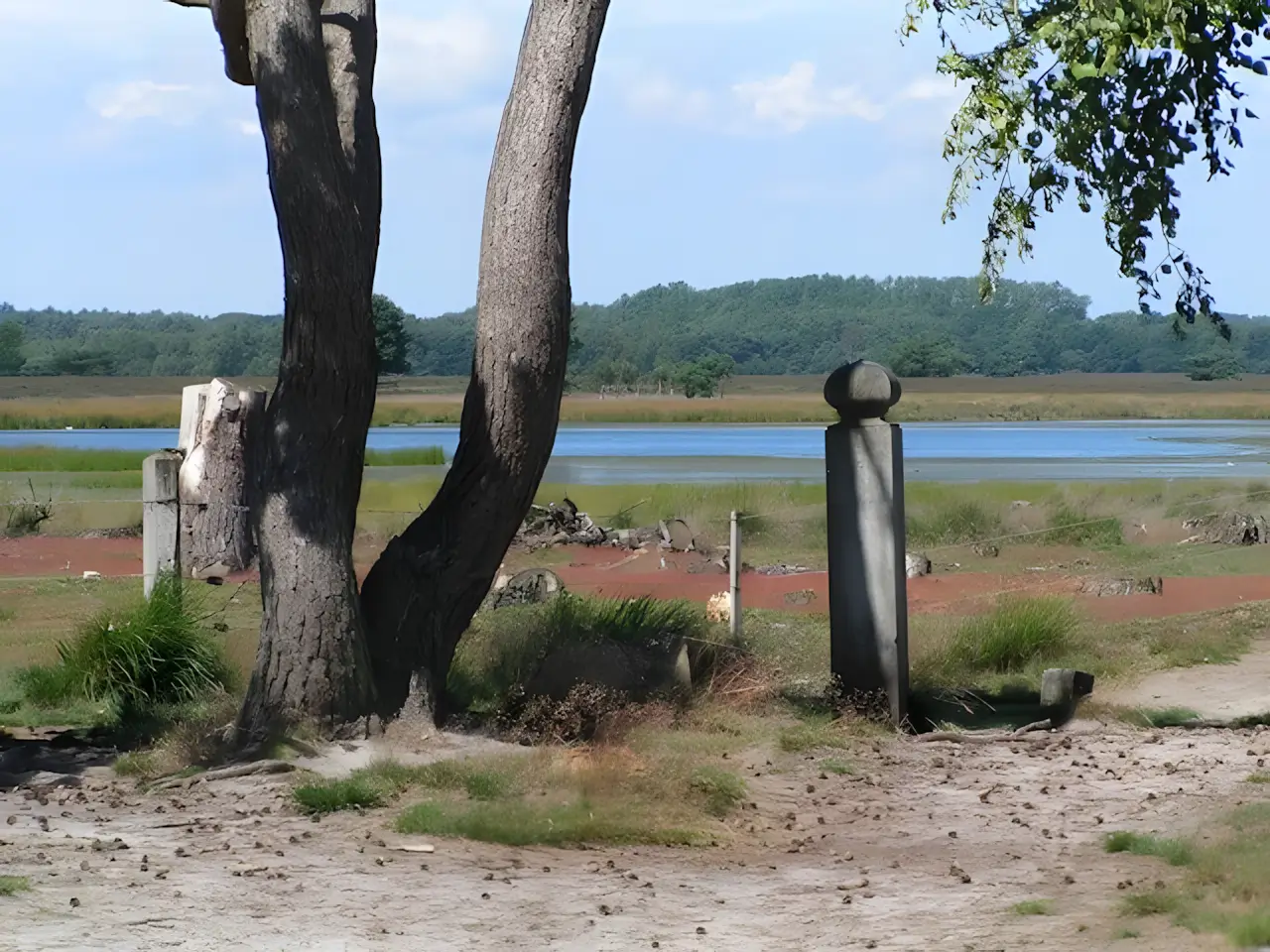 de strabrechtse heide