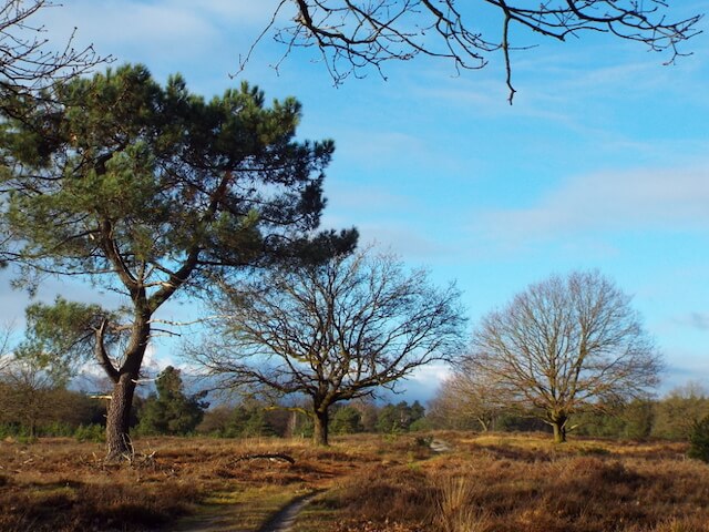 Munseheide Route