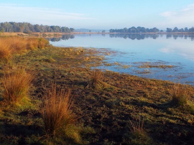 Landschotsche Heather Tour