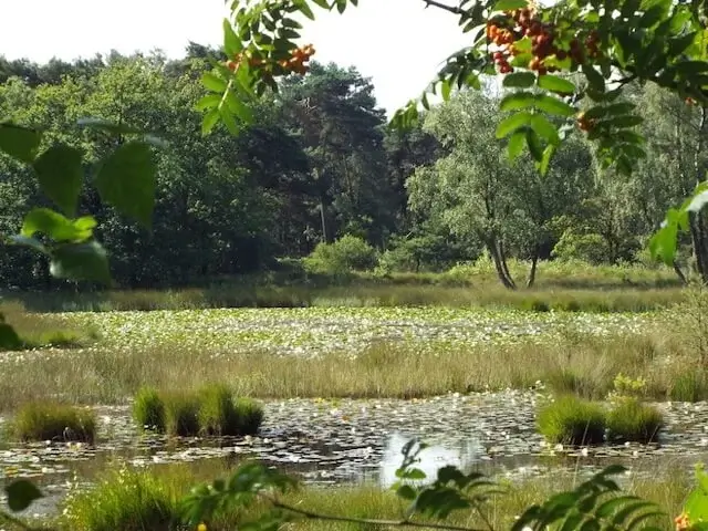de ravenvennen