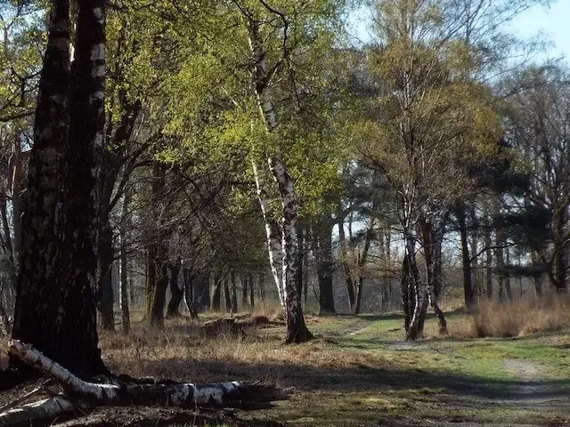 natuurgebied 't zinkske
