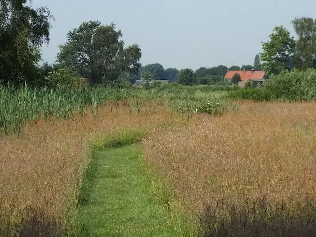 pad door 't molentje
