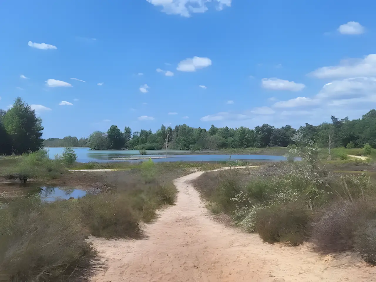 de bakelse plassen