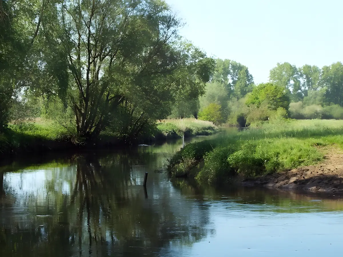 de dommel