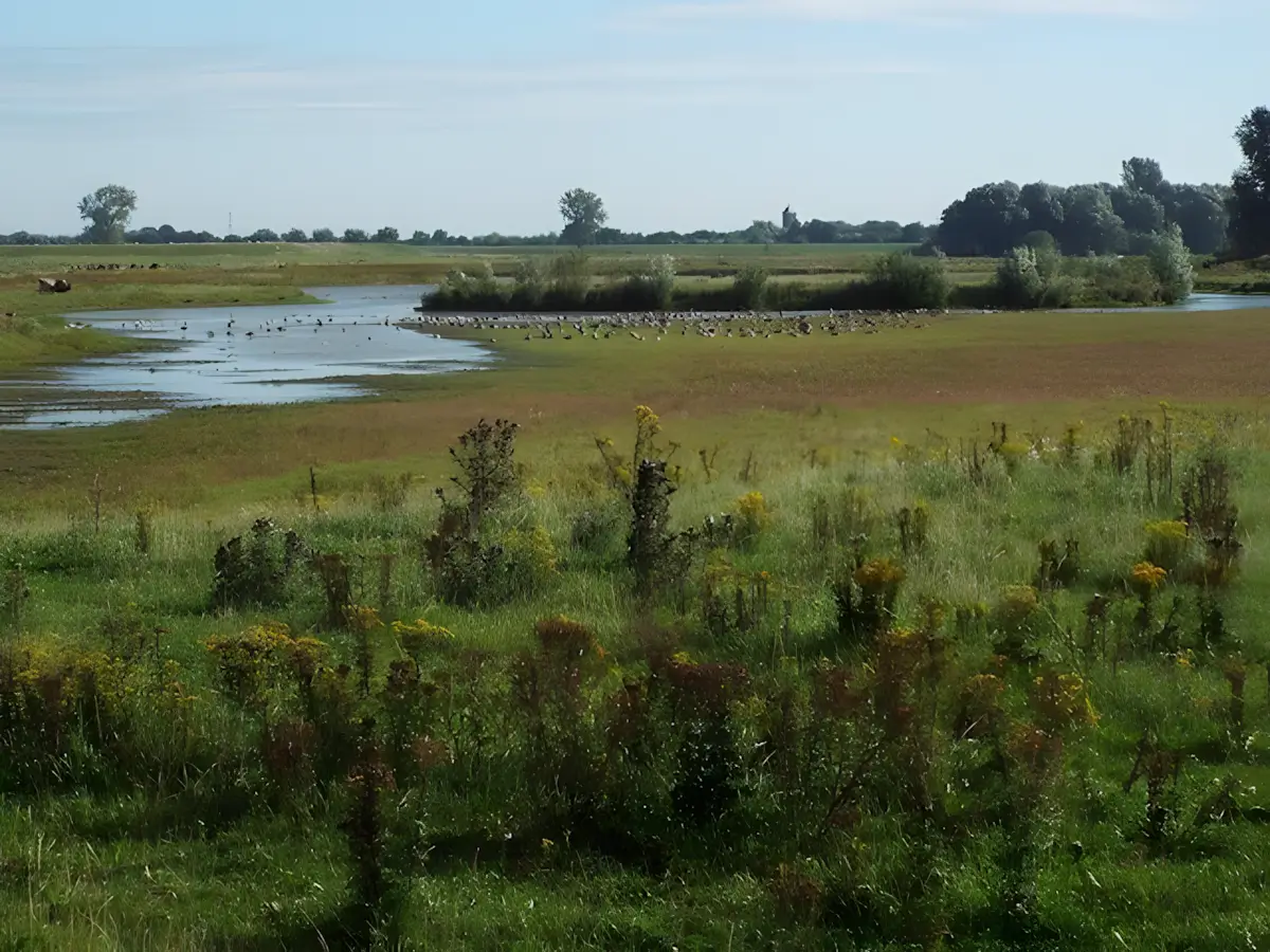 de keent