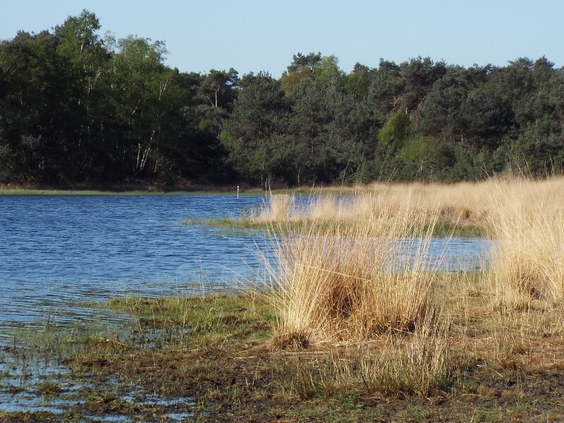 Door de noordelijke Groote Heide