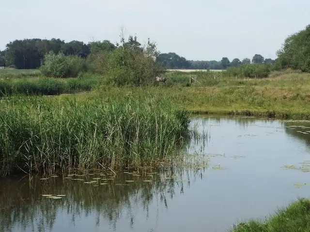 tungelroyse beek