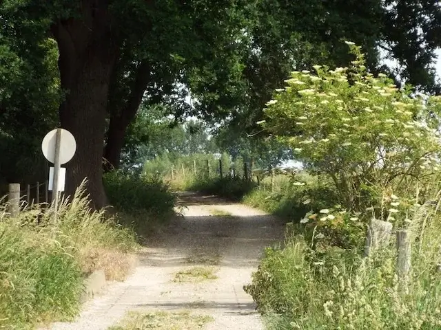 onverharde weg in de omgeving van de haelense beek