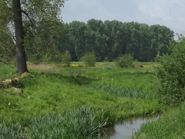 beekdal van de haelense beek