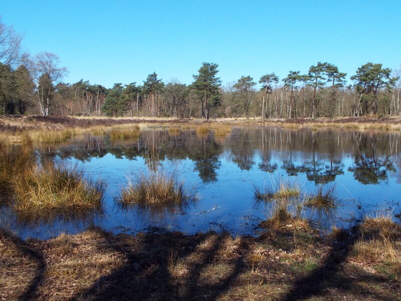 De Twaalf Vennekes tocht