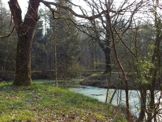 klein vennetje in de papenvoorste heide