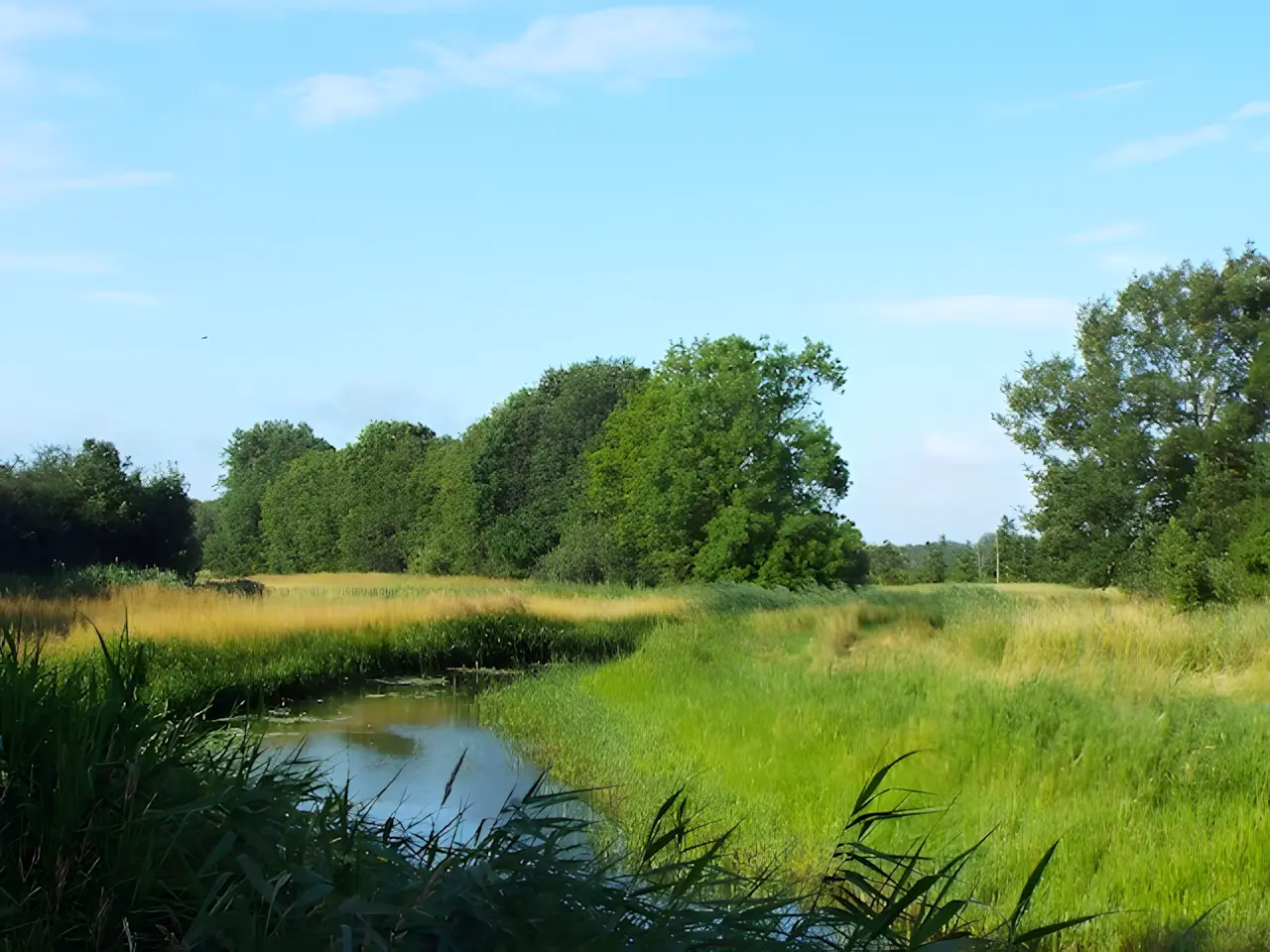tungelroyse beek