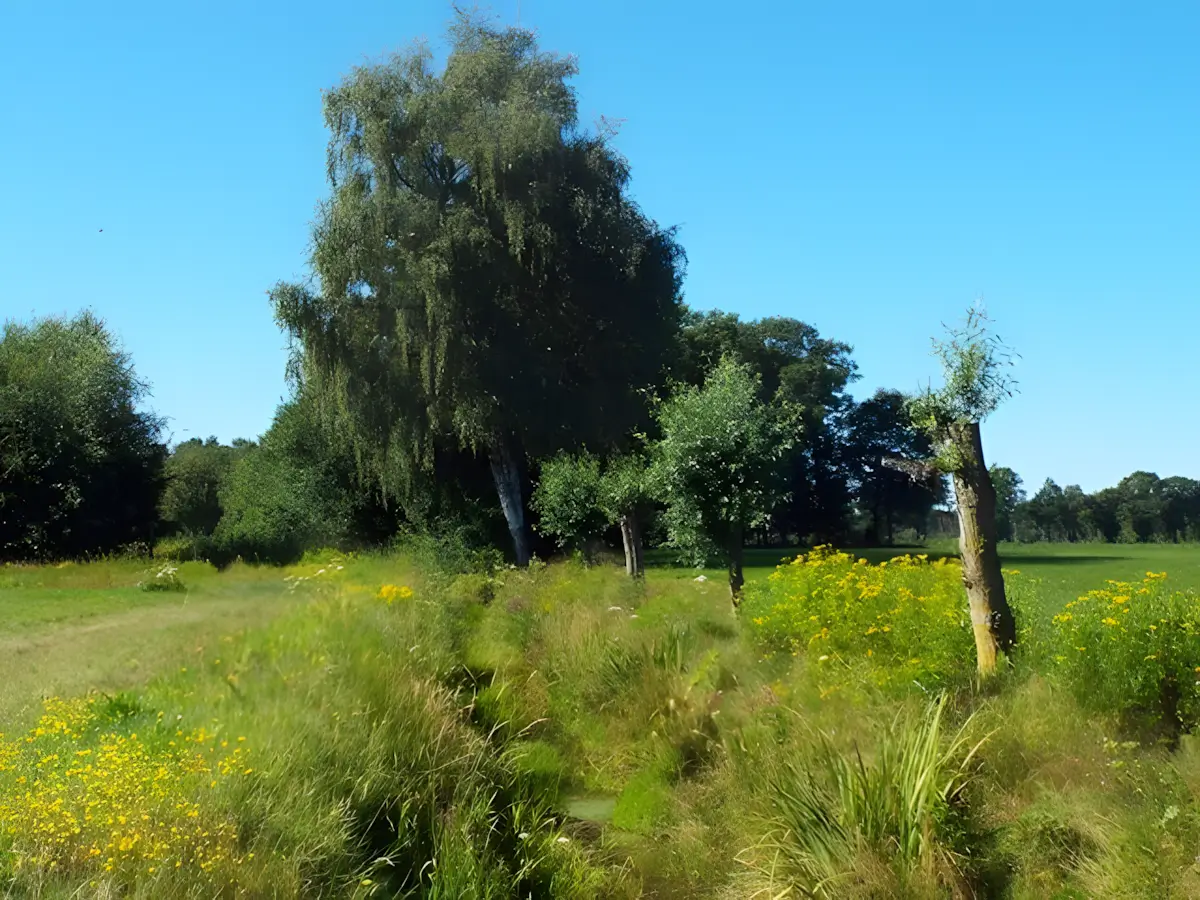 de heerenbeekloop
