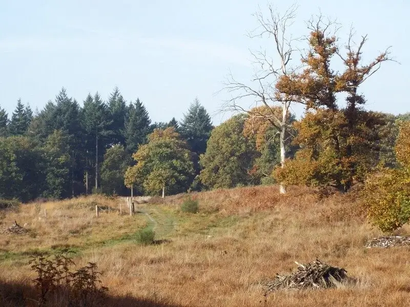 nationaal park de meinweg