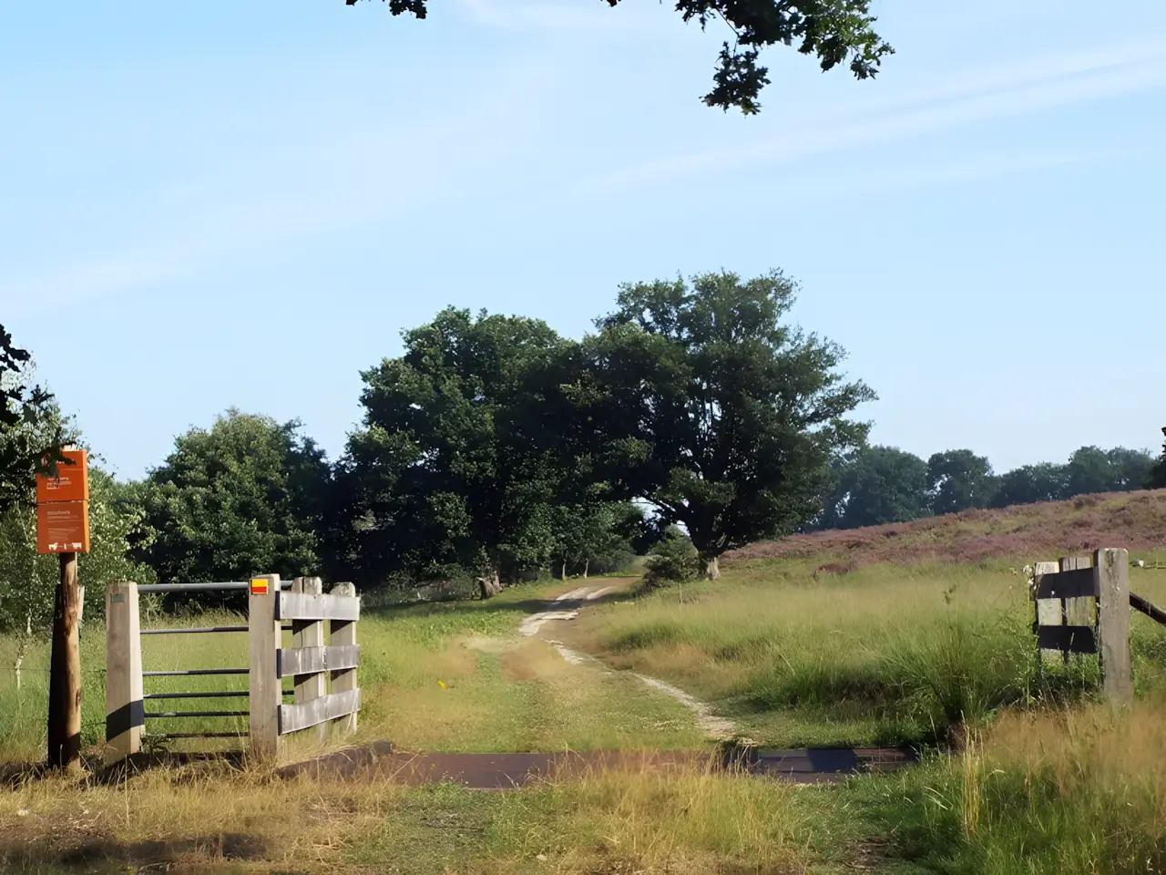 nationaal park meinweg
