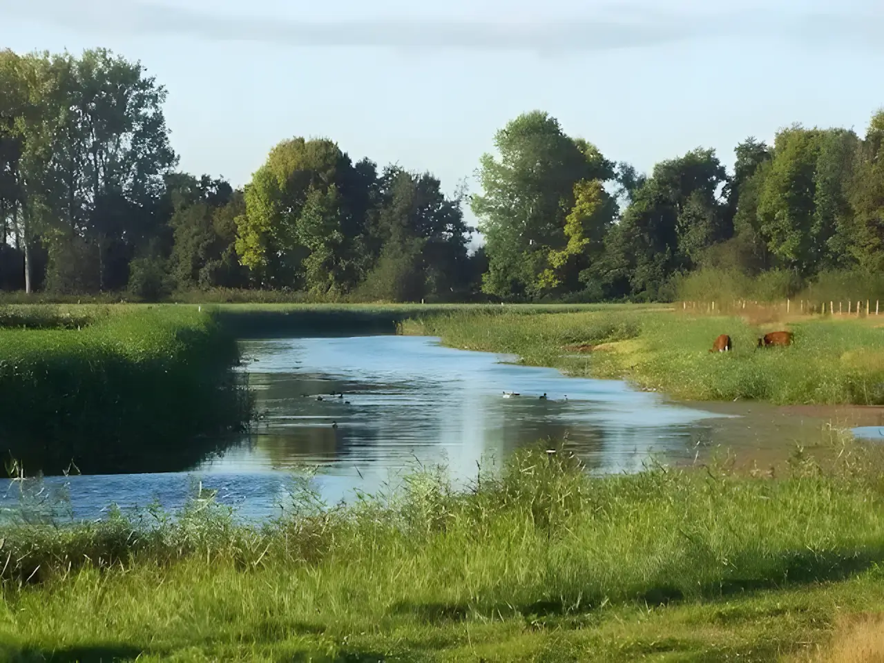 het riviertje aa