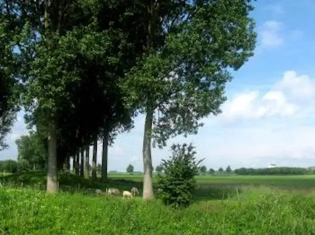 landscape around zuiddorpe