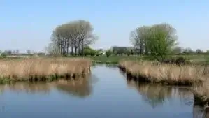 Zaamslagpolder
