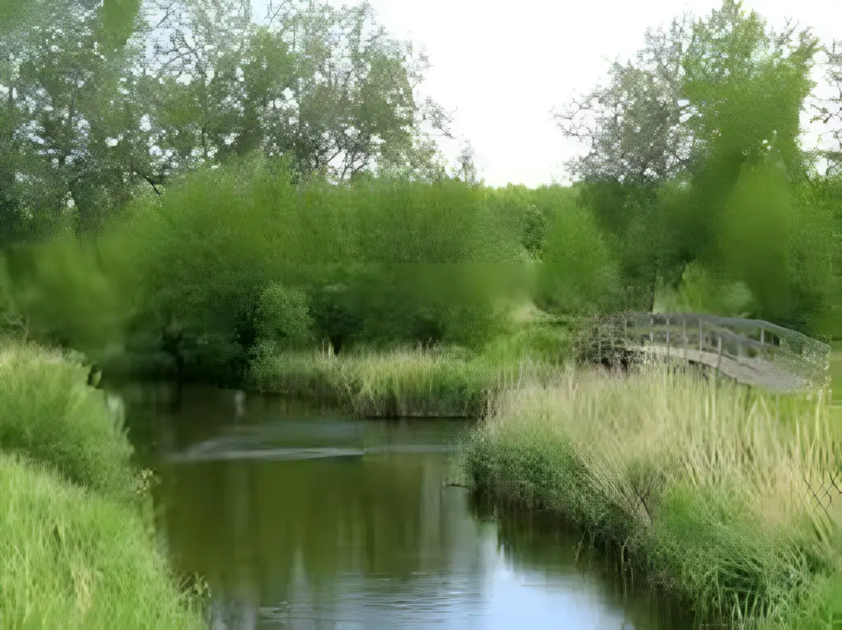 brugje over het zijkanaal