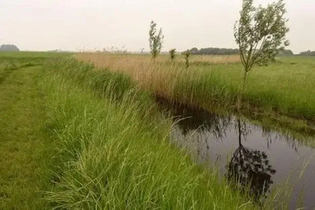 an old creek remnant