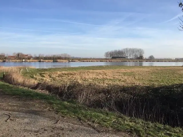 de vogel nature reserve