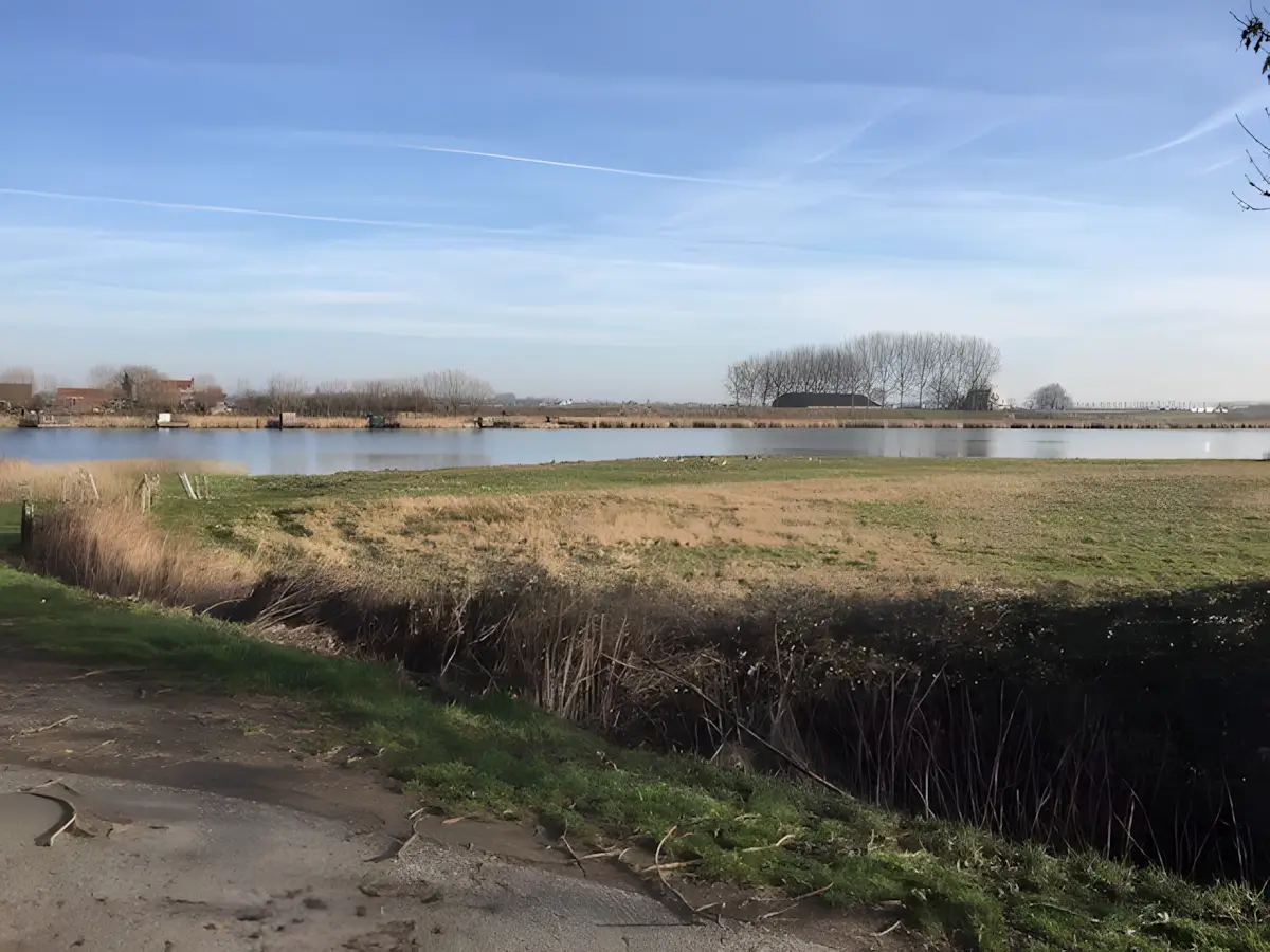 natuurgebied de vogel