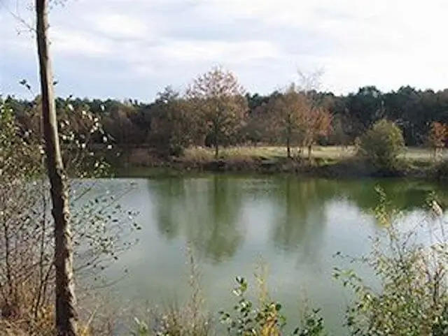 Krieke Putten,