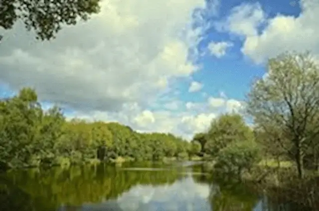 kriekeputten