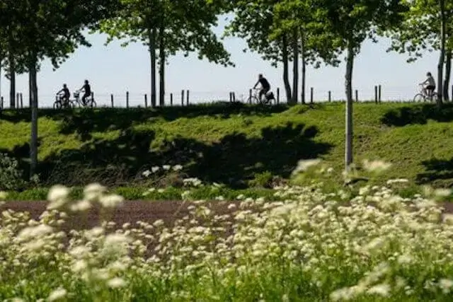 cyclists on the Koningsdijk