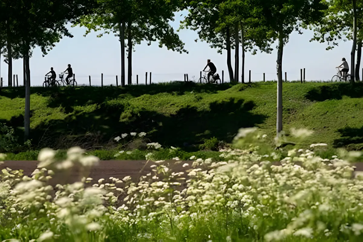 fietsers op de koningsdijk