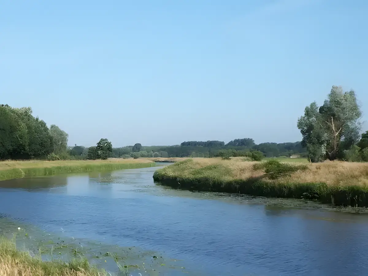 de dommel