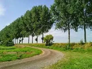 onverharde weg in de polder