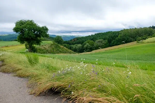 wandelen door het natuurpark luxemburgse natuurpark our