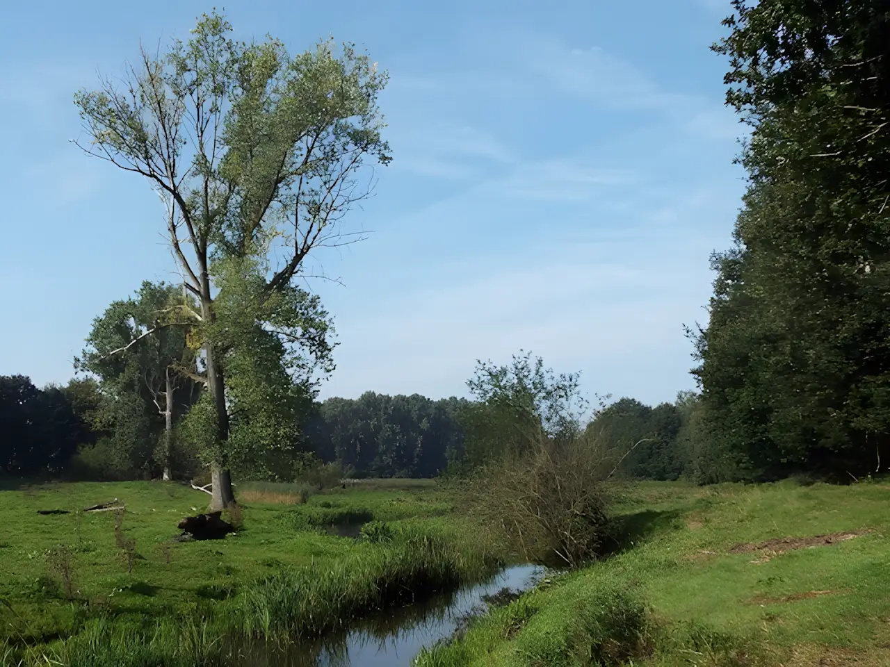 beekdal van de haelense beek