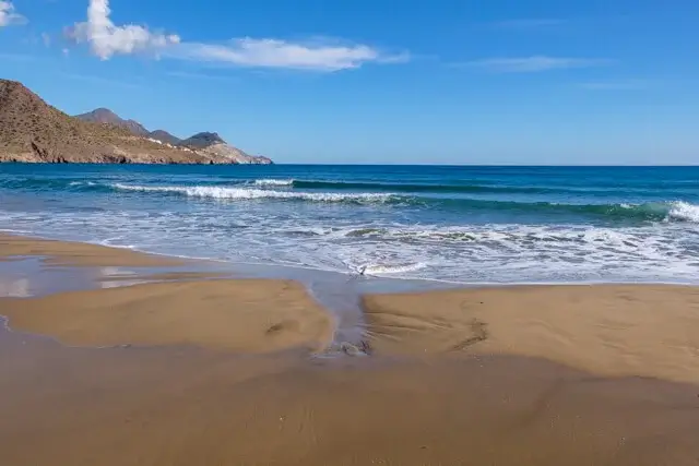 on the beach of genoveses