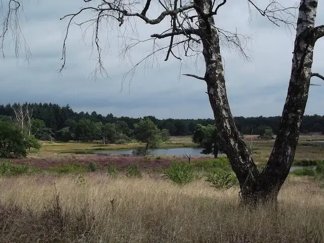 uitkijkpunt aan het quin