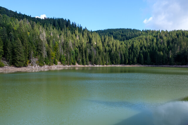 Lac Vert and Lac du Forlet