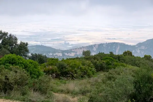 view on the ebro delta
