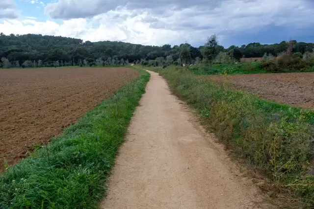 onverharde weg naar de bossen van Es Castell