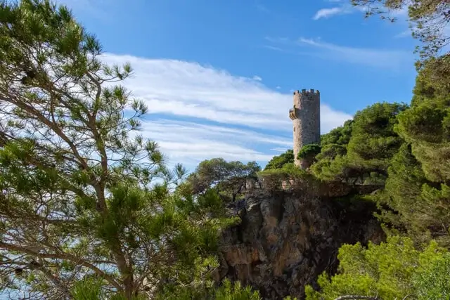 torre valentino