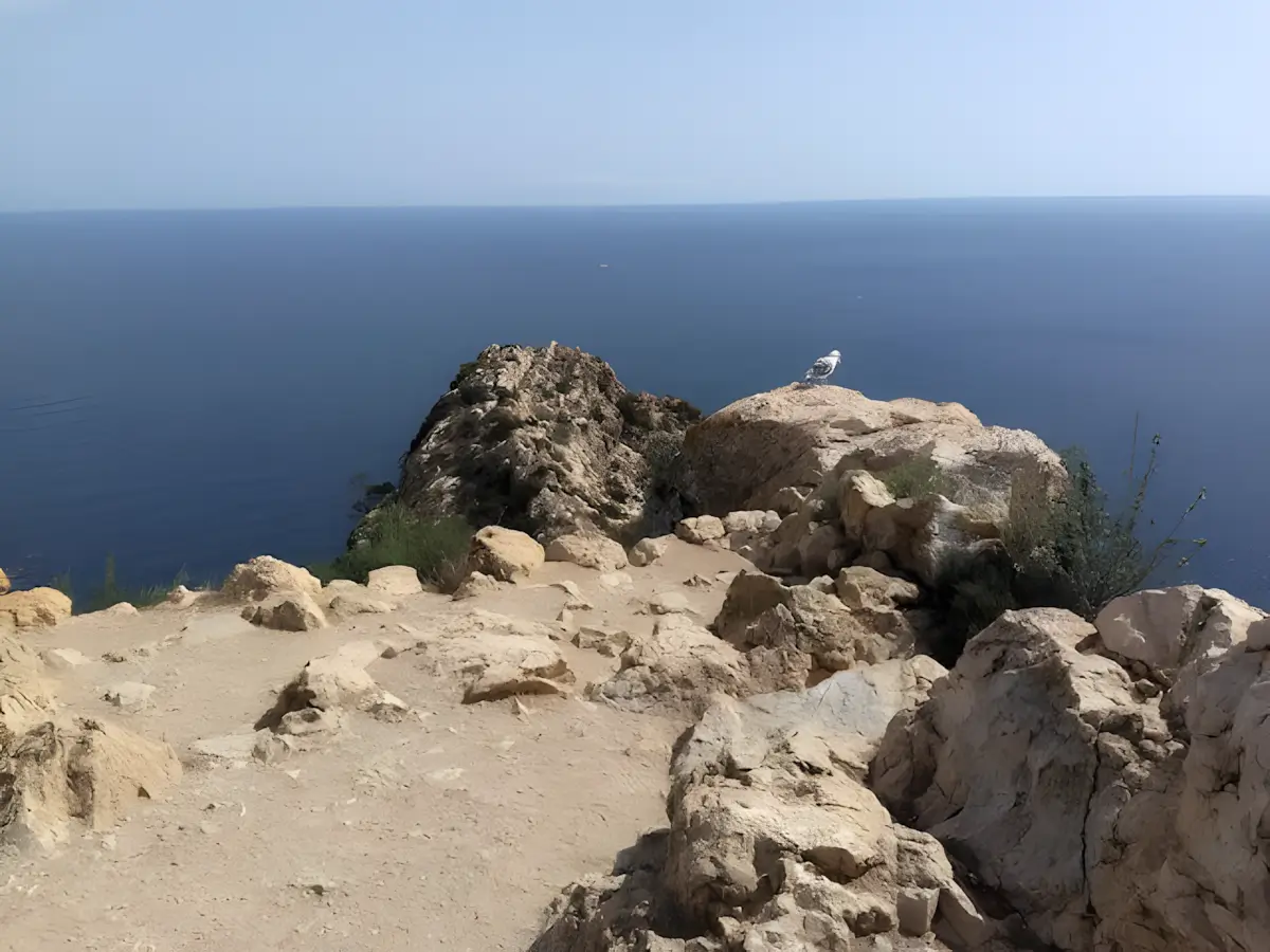 mirador de Carabiners