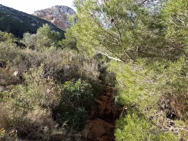 Barranco de La Viuda