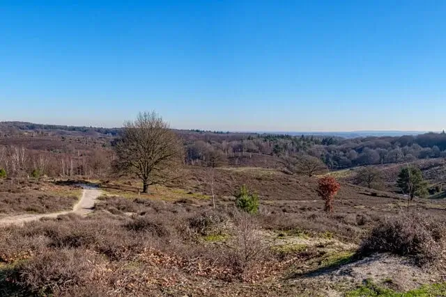 the posbank