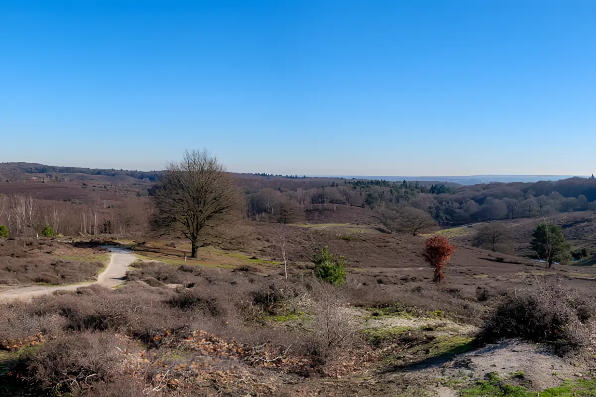 posbank
