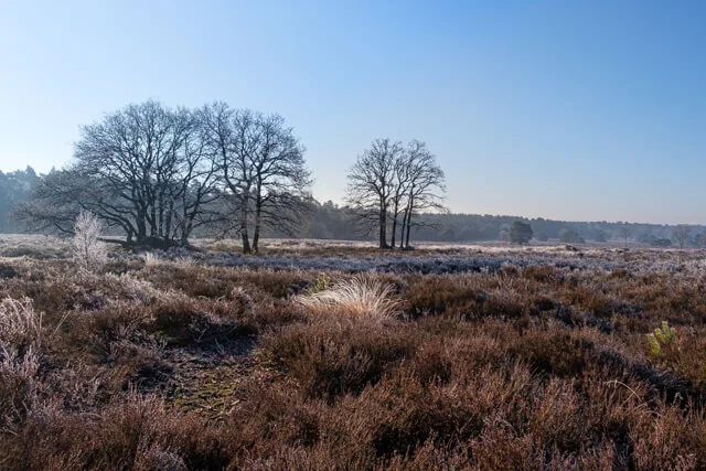 zicht op de hilvense heide