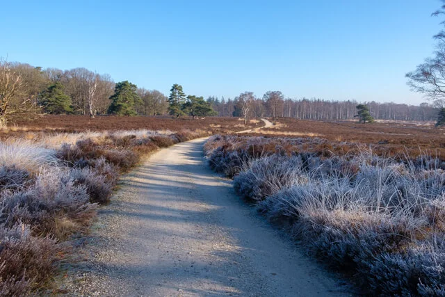 mooi pad door de hilvense heide